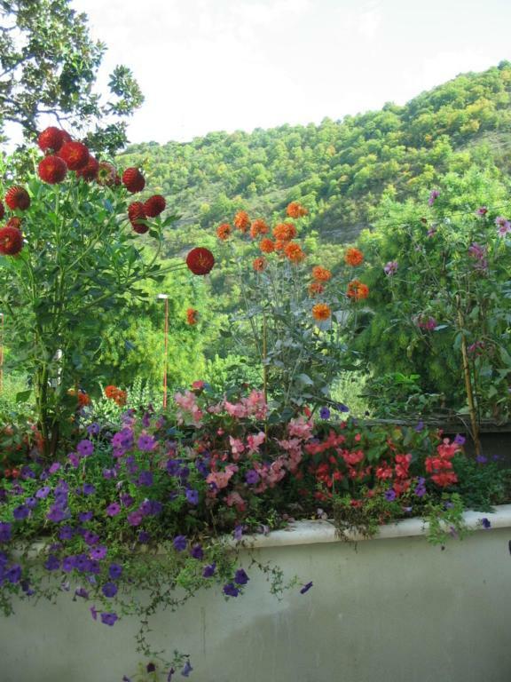 Martine Cahors